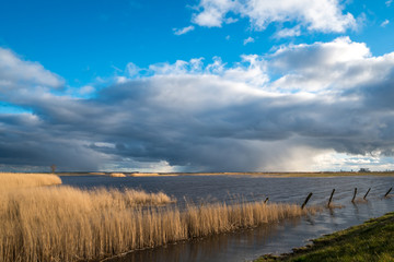 Obraz premium Landscape shot of stormy clouds rolling in with a moor and reeds in the forground