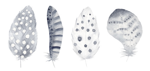 Watercolor boho style hand painted feather set. Illustration isolated on white.