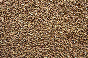 A uniform background with space for copying - buckwheat, scattered in an even layer on the surface.