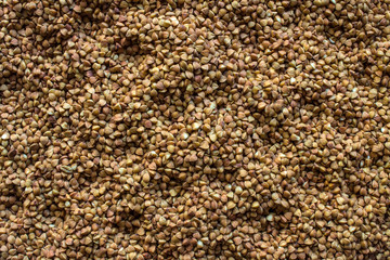 A uniform background with space for copying - buckwheat, scattered in an even layer on the surface.