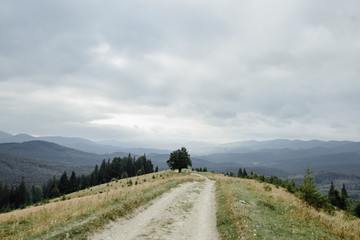 Photoshoot of the bride and groom in the mountains. Boho style wedding photo.