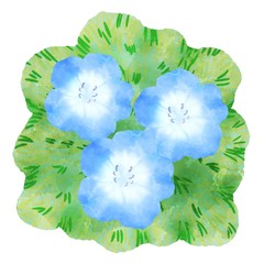 青い花　草原のネモフィラ　水彩風イラスト