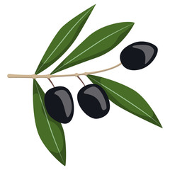 Obraz na płótnie Canvas Black olives on branch. Illustration in cartoon style isolated on white background.