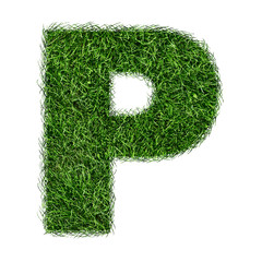 Letter of grass alphabet. Grass letter P isolated on white background. Symbol with the green lawn texture. Eco symbol collection. 3D illustration.