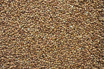 A uniform background with space for copying - buckwheat, scattered in an even layer on the surface.