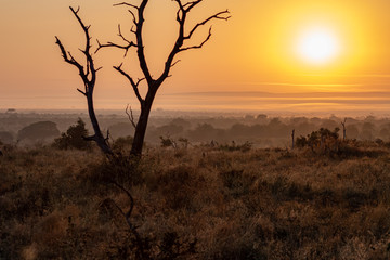 Sunrise in the Kruger National Park