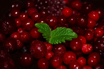 raspberry and blackberry