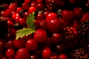 red currant close up