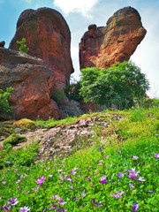 Amazing natural landscape with red rocky pillars and purple spring flowers, at the Belogradchick Rocks, Bulgaria