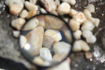 海岸で水晶探し