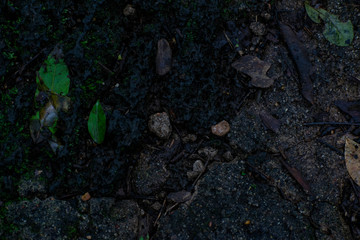 Texture rocks and soil