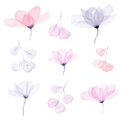 Watercolor floral illustration set. Cute delicate flowers and leaves in neutral pastel color collection.
