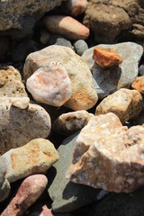海岸で水晶探し