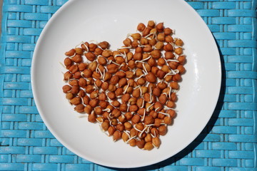 Gram sprouts or germinated grams in white plate