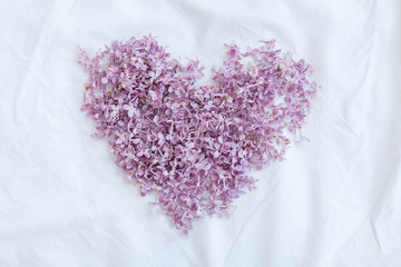 Fototapeta premium Flowers love heart on white texture background template. Lilac violet flowers in heart mock up top view