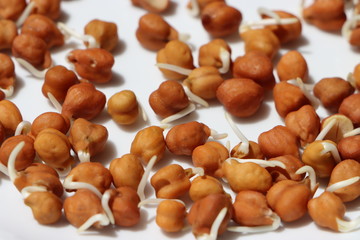 Gram sprouts or germinated grams in white plate