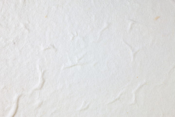 White Mulberry paper background.
