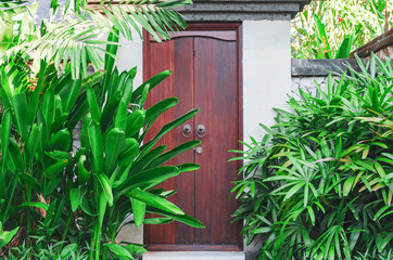 Front door with palms and flowers