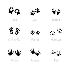 Set of footprints animals.