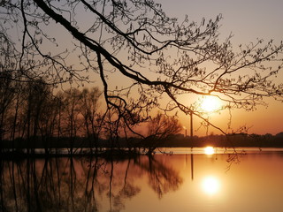 Lake at sunset, on a background of trees. Reflection of nature in the lake. Diamond Lake Kiev, Ukraine.