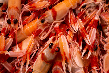 Prawns in the market. Natural food of animal origin. Food for humans