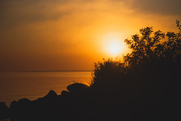 the sun sets over the water, in the foreground a silhouette of trees