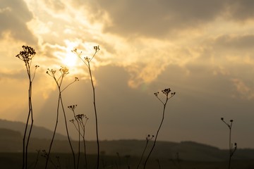 Sunrise or sunset over the hills and meadow. Slovakia