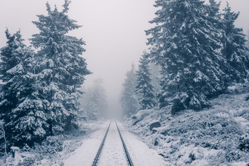 Verschneite Bahngleise führen in den dichten Nebel