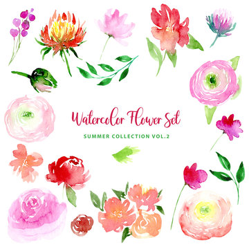 Watercolor loose style flowers and leaves set. Collection of isolated images of pink, red flowers, peony, protea, rose and green leaves. For print, pattern, textile, wallpapers, invitations, cards