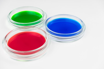 three cups of petri dishes with colored liquid