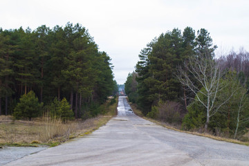 Fototapeta premium road in forest