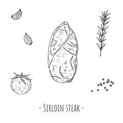 Sirloin steak. Vector cartoon illustration. Isolated object on a white background. Hand-drawn style.