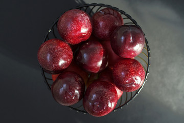 fresh round purple plums, in a black fruit bowl, on a black background.