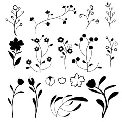 Doodle plants collection on white background