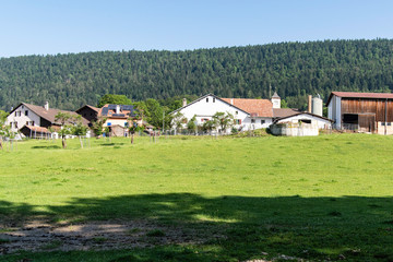 Fototapeta na wymiar Wiese mit Dorf