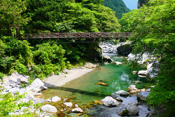 仁淀川の支流、初夏の安居渓谷。高知、日本。6月上旬。