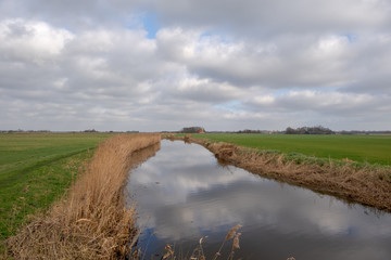 Wide straight ditch with reed collar between green pastures under a cloudy sky.