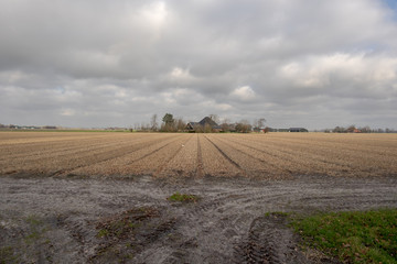 Arable land with grooves and a farm in the distance under a gray cloudy sky
