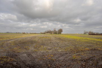 A farmland and a farm in the distance under a gray cloudy sky