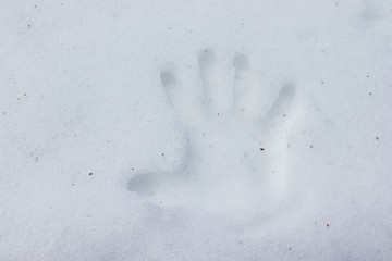  human footprints in white snow in winter
