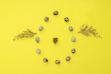 Quail eggs laid in the shape of an egg