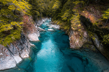 Hokitika Gorge,South Island, New Zealand © David