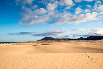 Fototapeta na wymiar Parque Natural de Corralejo Sand Dunes Corralejo La Oliva Fuerteventura Canary Islands Spain