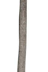 natural tree trunk isolated on white background © Fotograf