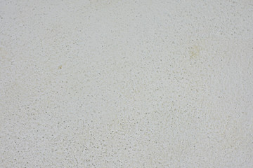 white wall background