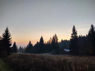 Photo sur Plexiglas Forêt dans le brouillard Sunrise or sunset over the hills and meadow. Slovakia