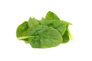 fresh young baby spinach leaves