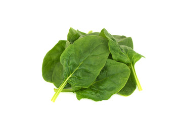 fresh young baby spinach leaves