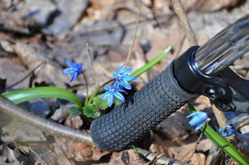Bicycle handlebar and snowdrop