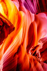 The smooth curved Red Navajo Sandstone walls of Rattlesnake Canyon, one of the famous Slot Canyons in the Navajo lands near Page Arizona, United States